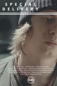 Special Delivery poster - Ania Nova filmography